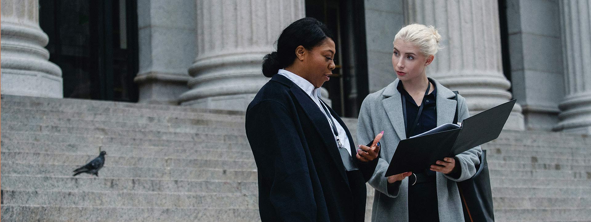 Reporting & Dashboards automatisieren